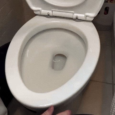 Adaptador de inodoro para niños